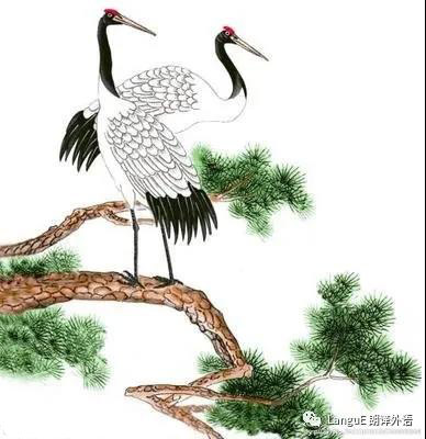 鹤1.jpg